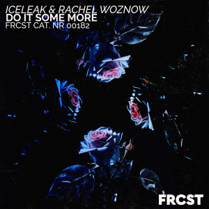 收聽Iceleak的Do It Some More (Extended)歌詞歌曲