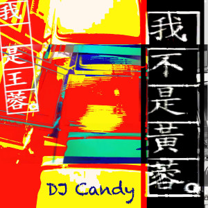 我不是黄蓉 (DJ Candy Remix)