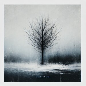 Album Like don't Like from 