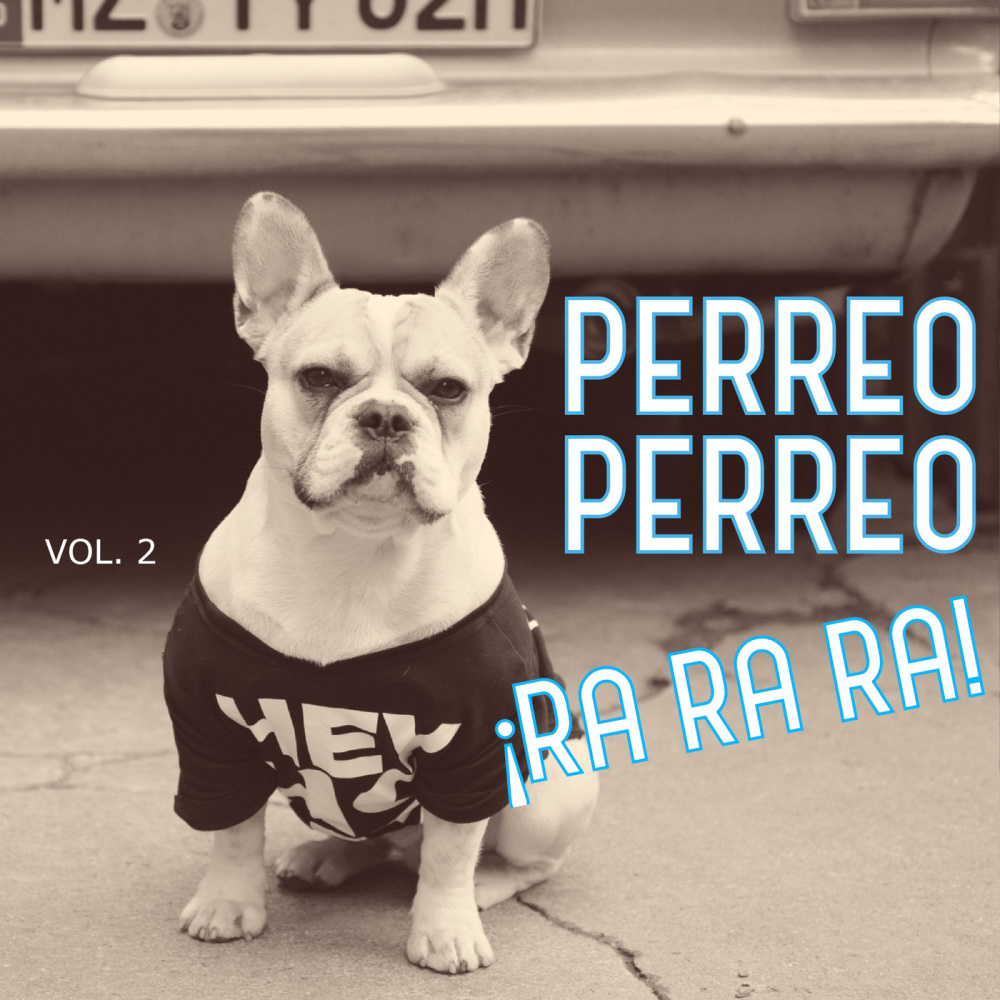 No Me Conoce (Remix)