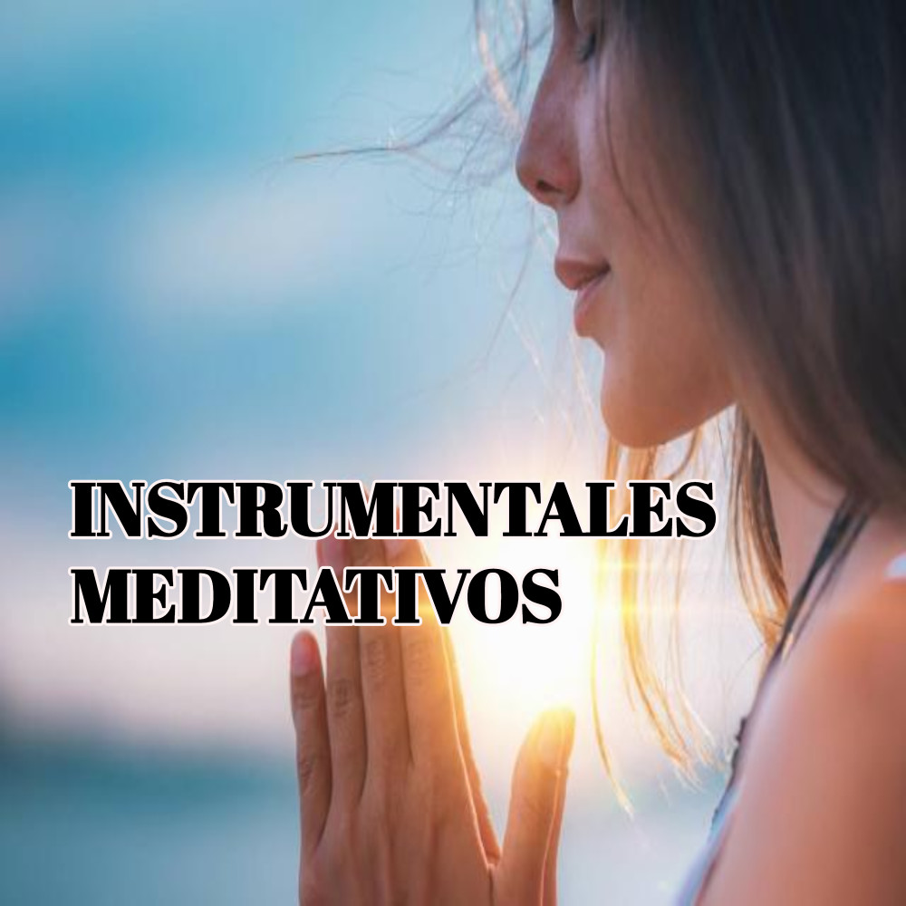 Meditando Bajo las Estrellas