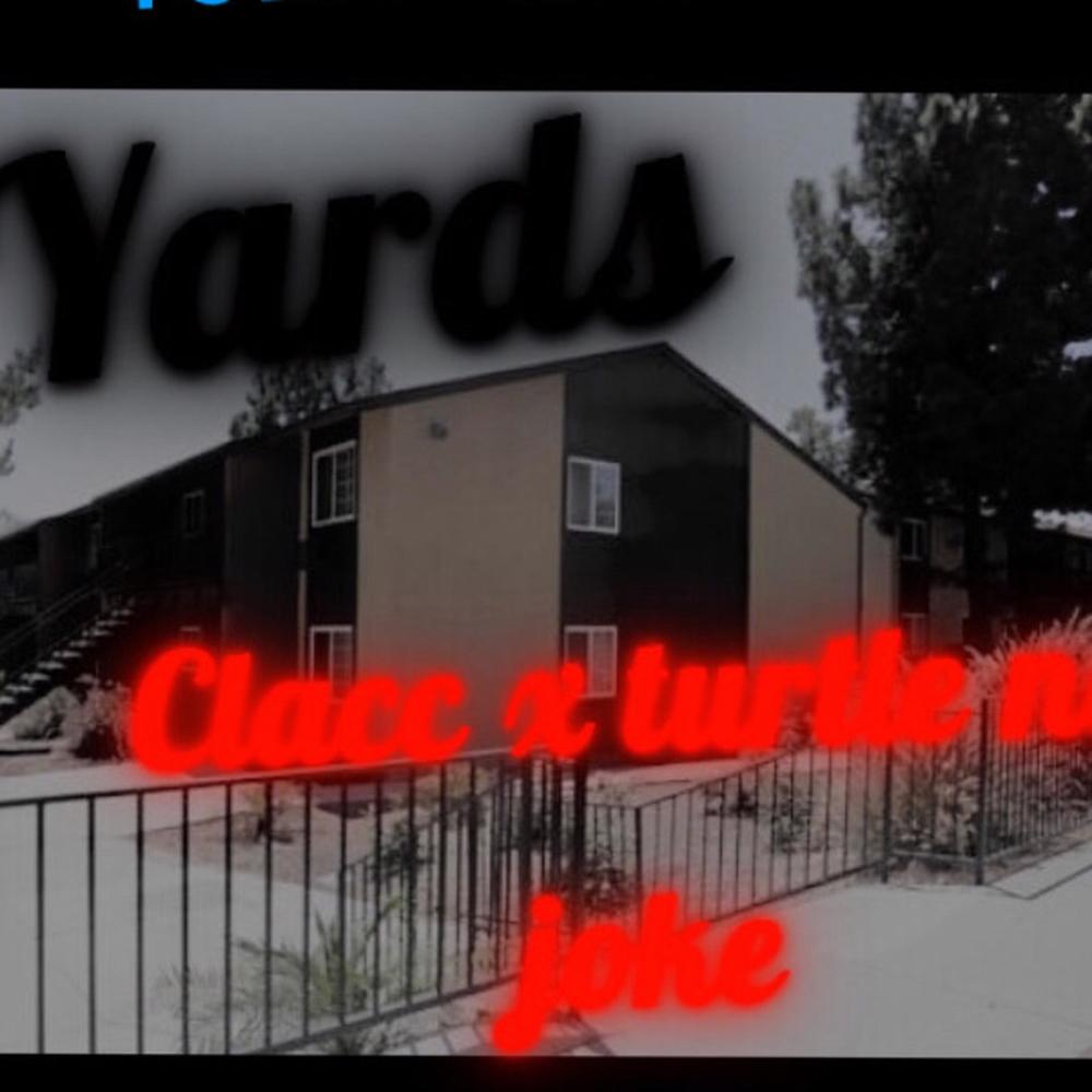 YARDS (feat. Turtle no joke) (Explicit)