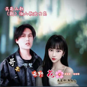 Dengarkan lagu 哥去哪里采野花 (伴奏) nyanyian 朱家祥 dengan lirik