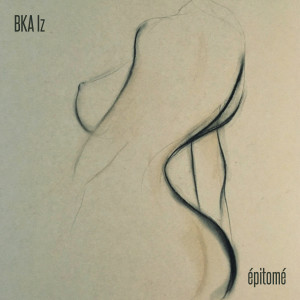 Listen to No Reservations (Explicit) song with lyrics from BKA Iz