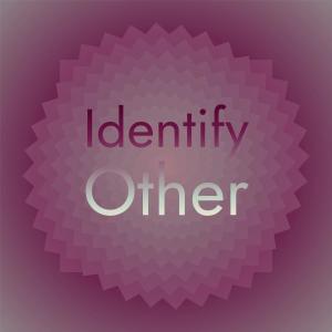 Various Artists的專輯Identify Other