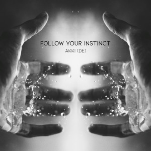 收聽Akki (DE)的Follow Your Instinct歌詞歌曲