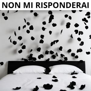 收聽Shoek的Non mi risponderai歌詞歌曲