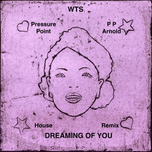 Listen to Dreaming Of You (WTS House Remix) song with lyrics from Pressure Point