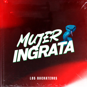 Los Bachateros的專輯Mujer Ingrata