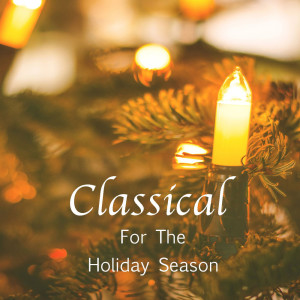 收聽The St Petra Russian Symphony Orchestra的Dvorak Symphony No. 7 in D minor, Op 70, 2歌詞歌曲