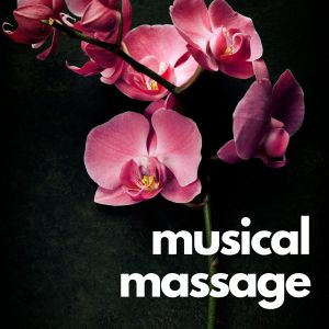 Dengarkan lagu Musical Massage, Pt. 5 nyanyian Calm Music dengan lirik