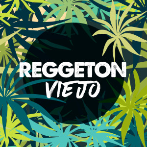 Various Artists的專輯Reggeton viejo (Explicit)