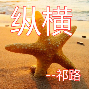 ดาวน์โหลดและฟังเพลง 纵横 พร้อมเนื้อเพลงจาก 祁璐