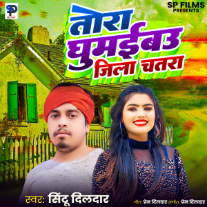 Album Tora Ghumaibau Jila Chatra from Sintu Dildar