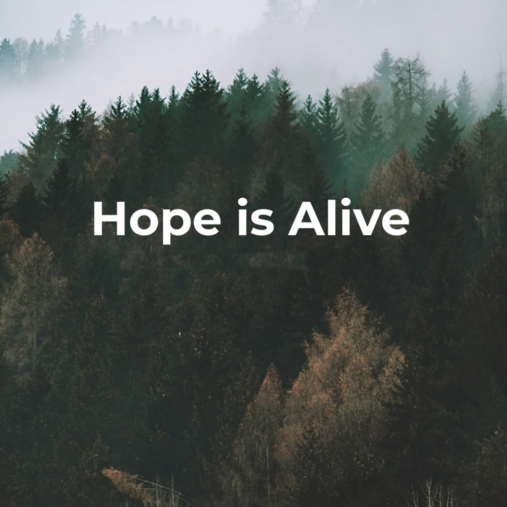 Hope Is Alive