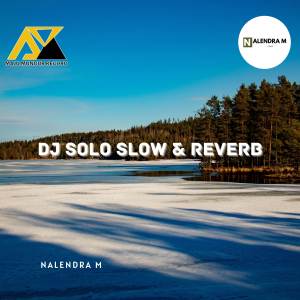 Listen to DJ Solo Slow & Reverb song with lyrics from NALENDRA M