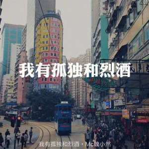 Listen to 我有孤独和烈酒 song with lyrics from Mc魏小然