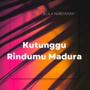 Jelila nurdianah的專輯Kutunggu Rindumu Madura