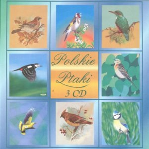 收聽Polskie Ptaki的Crane歌詞歌曲