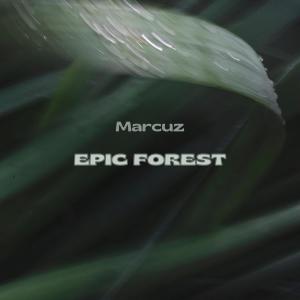 Marcuz的专辑Epic Forest