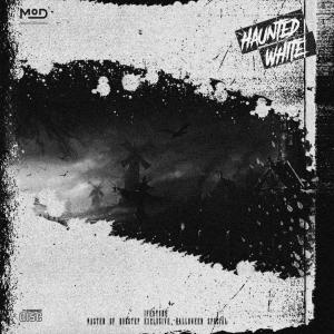 收聽iFeature的Haunted White歌詞歌曲