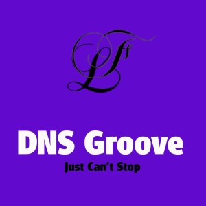 Listen to Just Can't Stop (Nick da Cruz Remix) song with lyrics from DNS Groove