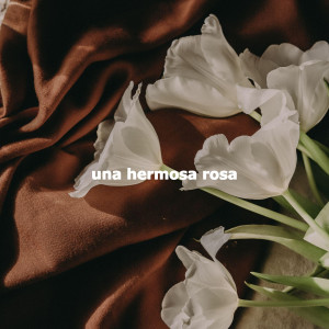 Album una hermosa rosa oleh Café Lounge