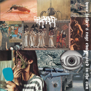 收聽Collapsed Skull的Dreamless Error歌詞歌曲