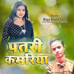 Listen to Patari Kamariya song with lyrics from Bijay Anand Sahu