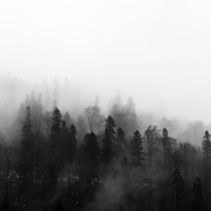 收听Sounds of Nature Relaxation的Pure Deep Sleep歌词歌曲