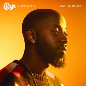 Album Bamboo (Remix) from Ayo Beatz