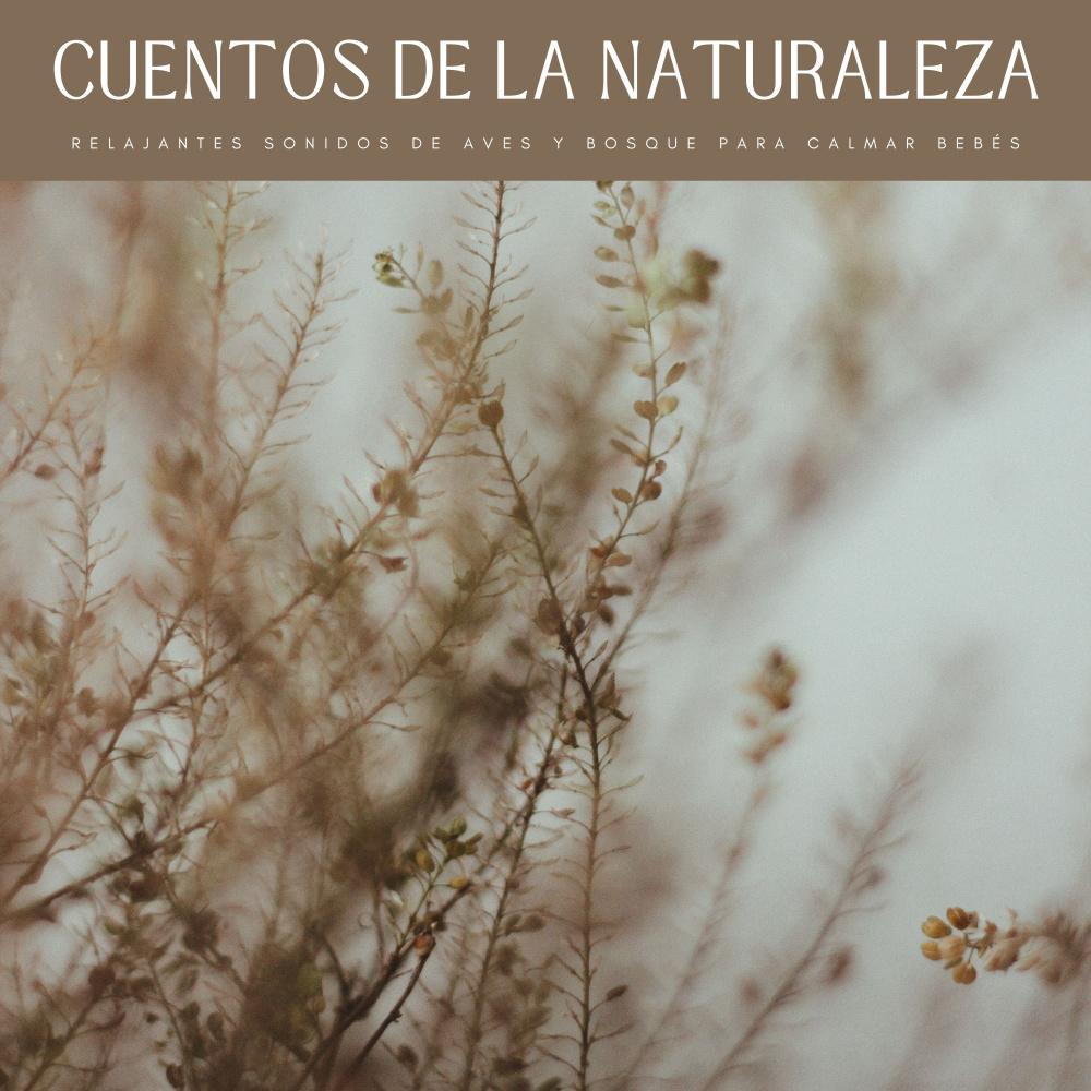 Árboles Al Viento