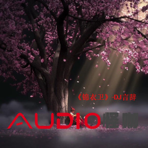 Album 锦衣卫 from DJ言辞