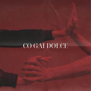 Double H的專輯Cô Gái Dolce