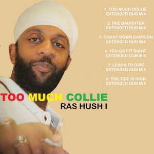 Listen to The tide is high (Extended Dub Mix) song with lyrics from Ras Kush I