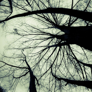 Draper Family Band的專輯Fall On Your Sword