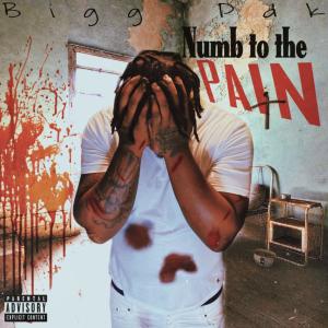 Album Numb To The Pain (Explicit) from Bigg pdk