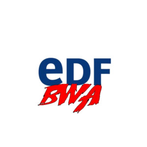 Dj Vivio的专辑Edf Bwa