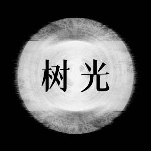 收聽鍾明秋的樹光 (伴奏)歌詞歌曲