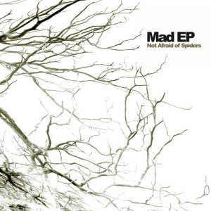 ดาวน์โหลดและฟังเพลง Stealing Your Last Breath พร้อมเนื้อเพลงจาก Mad EP