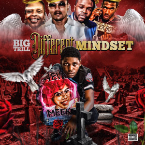 Listen to Why They Hate (Explicit) song with lyrics from Big Trill