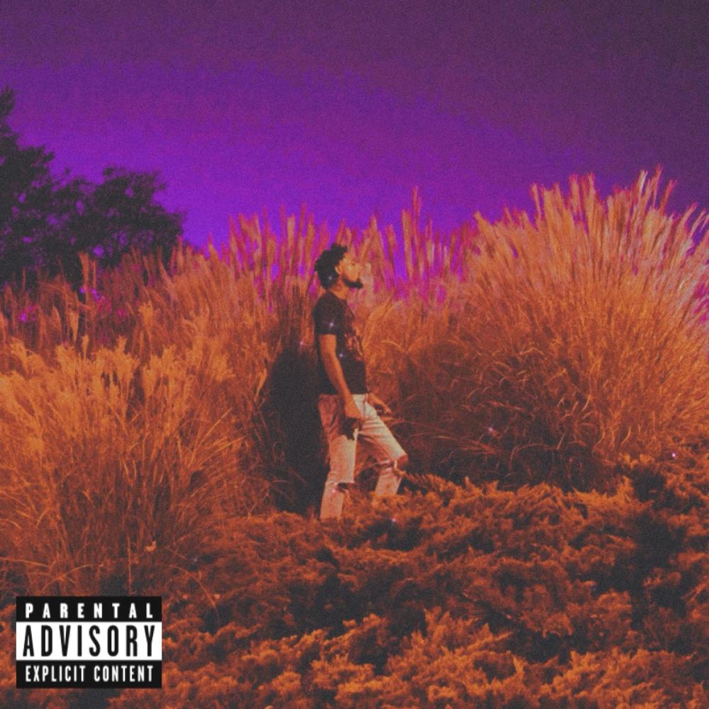 MIX (Explicit)