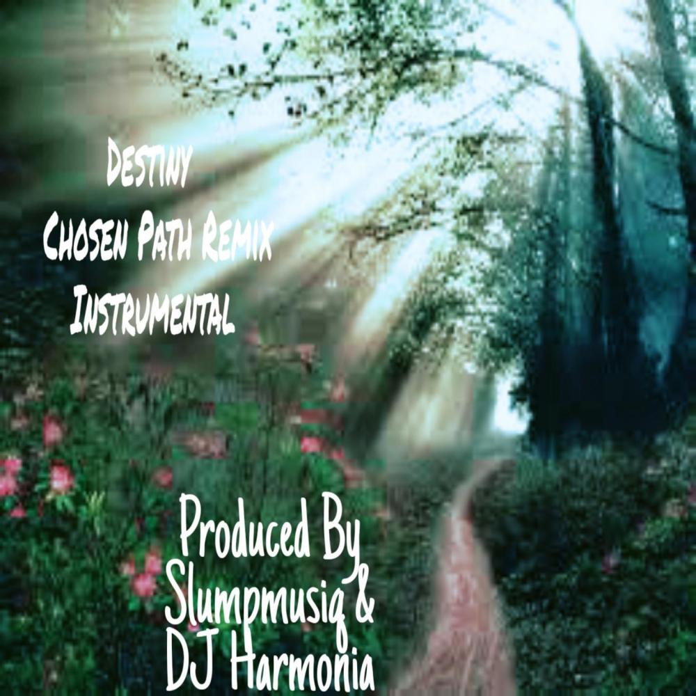 Destiny (Chosen Path)  (Instrumental)