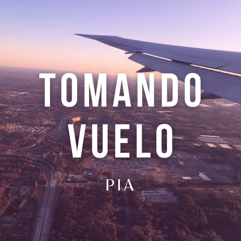 Tomando Vuelo