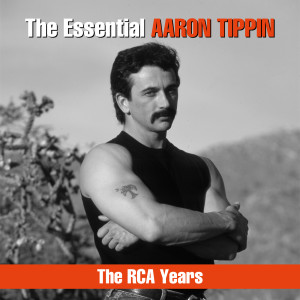 收聽Aaron Tippin的You've Got to Stand for Something歌詞歌曲