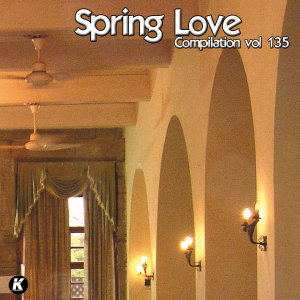 Various的专辑SPRING LOVE COMPILATION VOL 135 (Explicit)
