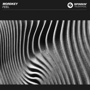 ดาวน์โหลดและฟังเพลง Feel พร้อมเนื้อเพลงจาก Mordkey