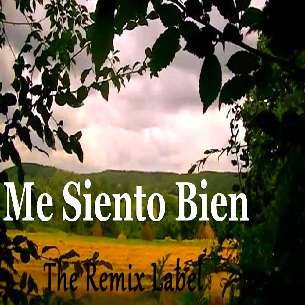 Me Siento Muy Bien (Remix)