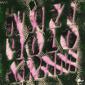 Listen to Nazi Hologram song with lyrics from Clear Plastic Masks