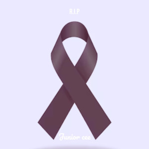 Album R.I.P (Explicit) from Junior cee